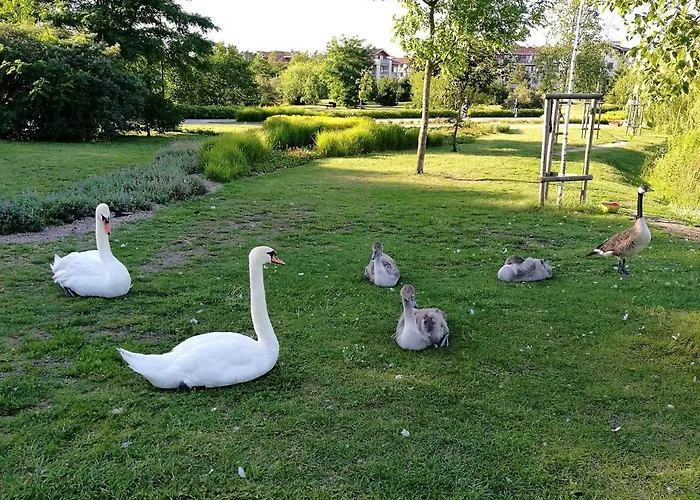 Atapartments - Przy Alejach Daire